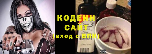 амф Арсеньев