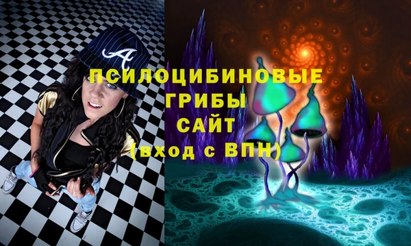 спиды Балахна
