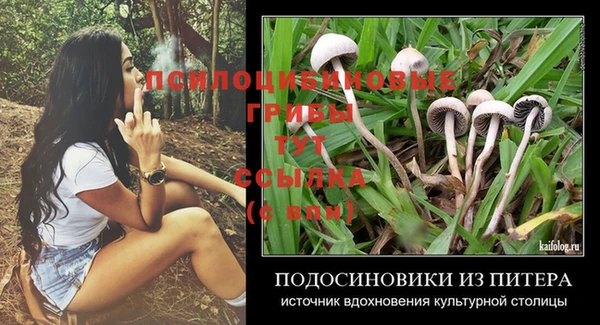 стафф Баксан