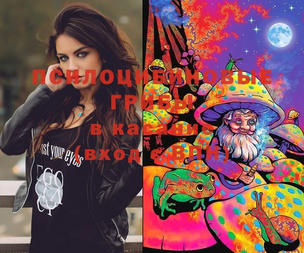 стафф Баксан