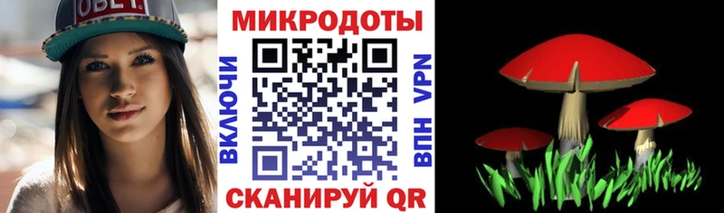 mega ссылки  сколько стоит  Протвино  Псилоцибиновые грибы мицелий 